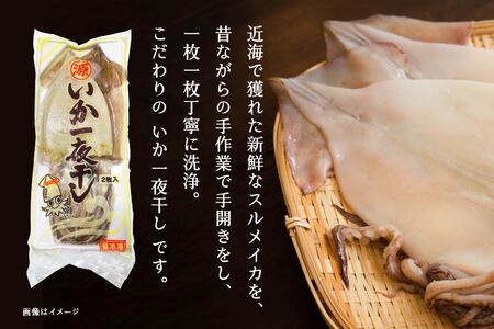 マルゲン水産 国産 いか一夜干し 〈2枚入〉×2パック 青森県八戸市