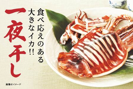 マルゲン水産 国産 いか一夜干し 〈2枚入〉×2パック 青森県八戸市