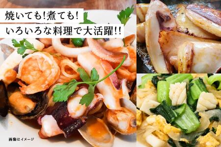 マルゲン水産 国産 いか一夜干し 〈2枚入〉×2パック 青森県八戸市