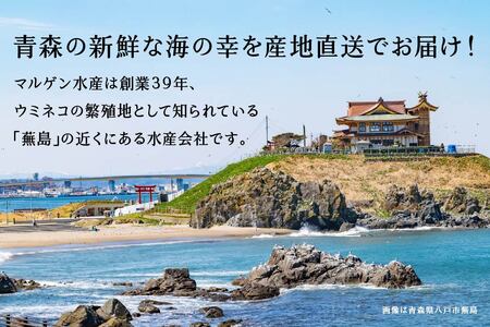 マルゲン水産 国産 いか一夜干し 〈2枚入〉×2パック 青森県八戸市
