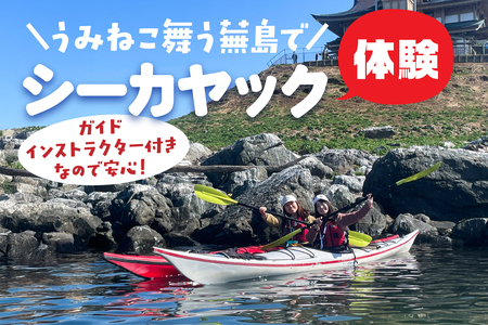カイタック（OUTDOORBOX RIVERRUNS） うみねこ舞う蕪島でシーカヤック体験 アクティビティ チケット 青森県 八戸市