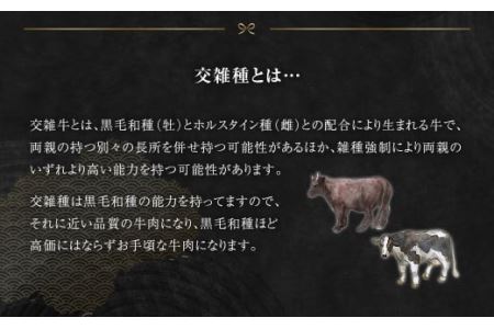 八戸 毬姫牛 切り落とし 700g 牛肉 国産