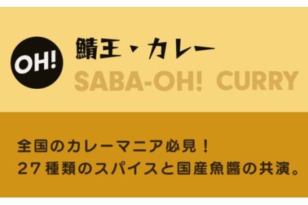 鯖王 驚きのカレー 310g×4個 八戸前沖さば サバ カレー スパイス