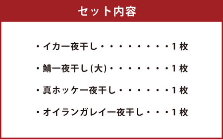 厳選 干物 セット イカ 鯖 真ホッケ オイランガレイ 一夜干し