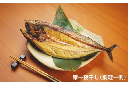 厳選 干物 セット イカ 鯖 真ホッケ オイランガレイ 一夜干し