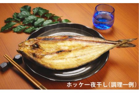 厳選 干物 セット イカ 鯖 真ホッケ オイランガレイ 一夜干し