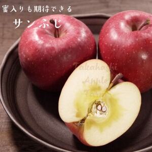 青森県黒石産サンふじ家庭用 約5kg_果物・フルーツ りんご リンゴ 林檎_【1247476】