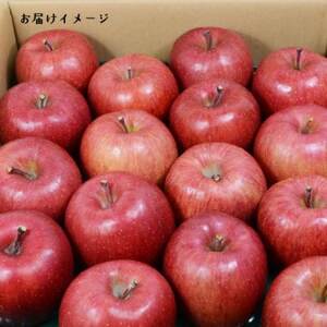 青森県黒石産サンふじ家庭用 約5kg_果物・フルーツ りんご リンゴ 林檎_【1247476】