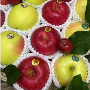 りんご　おまかせミックス　5kg_果物・フルーツ りんご  リンゴ 林檎_【1242591】