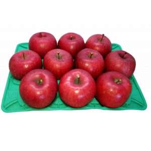 【2025年12月より順次発送】青森県黒石産 サンふじ約3kg_果物・フルーツ りんご  リンゴ 林檎_【1449239】