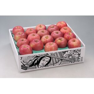 【2025年11月上旬～発送開始】シナノスイート　訳ありりんご　12～23個入　約5Kg_果物・フルーツ りんご  リンゴ 林檎_【配送不可地域：離島】【1506696】