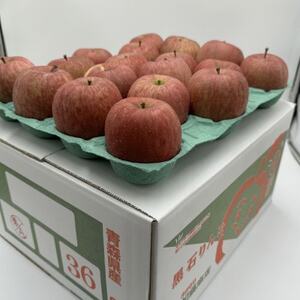 【2026年10月～随時発送予定】　内容量　10kg(26～46個入)　訳ありりんご　早生ふじ_果物・フルーツ りんご  リンゴ 林檎_【配送不可地域：離島・沖縄県】【1487377】