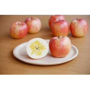 【令和7年11月中旬より順次発送予定】こうとく 2kg(8～12個)_果物・フルーツ りんご  リンゴ 林檎_【配送不可地域：離島】【1505246】