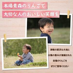 【黒石市産】糖度13度以上保証!ぐんま名月訳アリ家庭用約5kgりんご ※離島・沖縄は配送不可【配送不可地域：離島・沖縄県】【1521275】