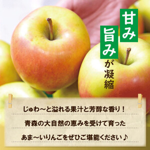 【黒石市産】糖度13度以上保証!ぐんま名月おもてなし用約5kgりんご ※離島・沖縄は配送不可【配送不可地域：離島・沖縄県】【1521278】