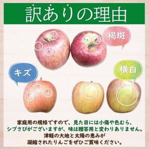 【黒石市産】糖度13度以上保証!ぐんま名月訳アリ家庭用約10kgりんご ※離島・沖縄は配送不可【配送不可地域：離島・沖縄県】【1521281】