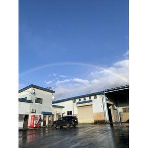 青森県産 　本州最北端の桃 　4.5kg(12～20玉)　【2026年8月中旬ごろ～発送開始】_果物・フルーツ もも  モモ 桃_【配送不可地域：離島】【1548640】