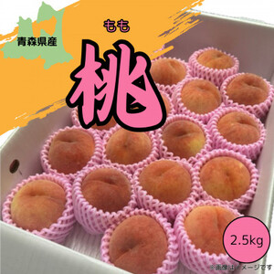 本州最北端の桃 　約2.5kg【2026年8月中旬～発送開始】【青森県産】_果物・フルーツ もも  モモ 桃_【配送不可地域：離島】【1548650】