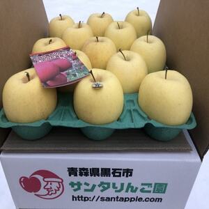 金星(きんせい)　家庭用　5kg_果物・フルーツ りんご  リンゴ 林檎_【1376865】