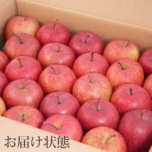 青森県黒石産雪中貯蔵サンふじ家庭用約5kg_果物・フルーツ りんご  リンゴ 林檎_【配送不可地域：離島】【1386959】