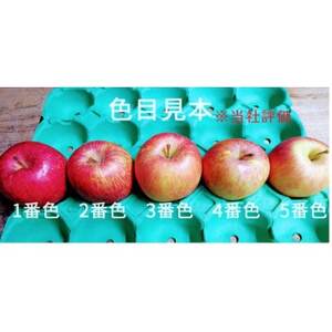 サンふじ　3K箱(約3kg)【美味しさ長持ち!スマートフレッシュ処理】_果物・フルーツ りんご  リンゴ 林檎_【配送不可地域：離島】【1600769】