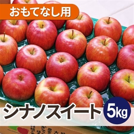 【26年2月より順次発送】平均糖度13度以上! シナノスイート 約5kg おもてなし用_果物・フルーツ りんご  リンゴ 林檎_【配送不可地域：沖縄県】【1611319】
