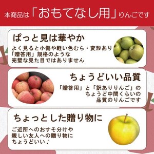 紅玉 約10kg おもてなし用_果物・フルーツ りんご リンゴ 林檎_【配送不可地域:沖縄県】【1611848】