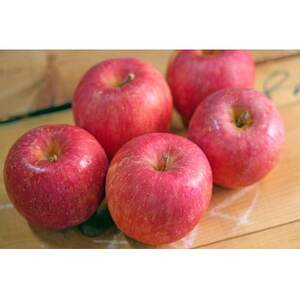 【26年5月出荷予定】平均糖度13度以上! 有袋ふじ 約10kg 訳あり CA貯蔵 クール便_果物・フルーツ りんご  リンゴ 林檎_【配送不可地域：離島・沖縄県】【1613258】