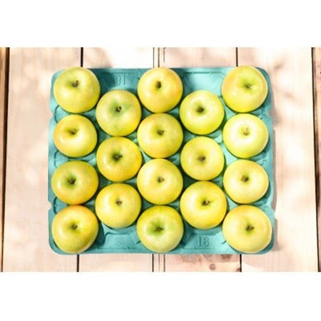 【26年8月下旬より順次発送】平均糖度12度以上! 黄王 約10kg 訳あり  クール便　青森りんご【配送不可地域：離島・沖縄県】【1611781】