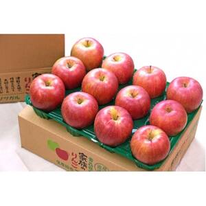 【26年1月より順次発送】糖度13度以上保証!シナノスイートおもてなし用約3kg(6～18玉)【配送不可地域：離島・沖縄県】【1682753】