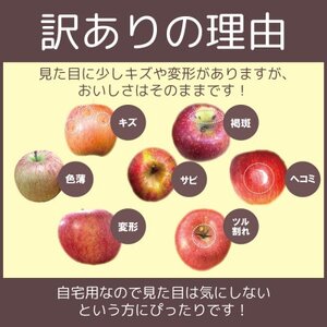 【26年1月~2月発送予定】糖度13度以上保証!サンふじ約3kg(6~18玉) 訳あり【配送不可地域:離島・沖縄県】【1682756】