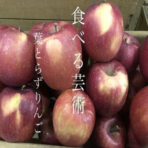 葉とらずサンふじ　家庭用　3キロ　見た目も個性的で、味を追求したりんご【1697744】