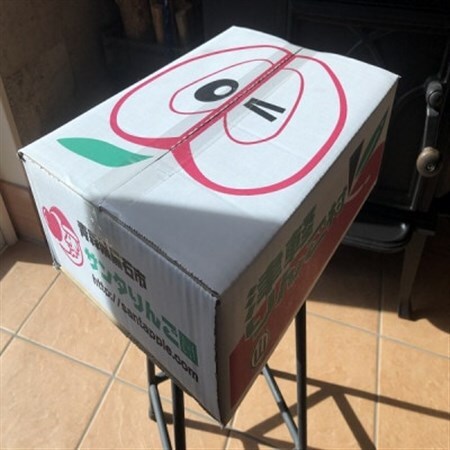 蔵出し春りんご シナノゴールド 約3キロ パリッと食感に、マイルドな酸味 農家直送青森りんご 【配送不可地域:離島】【1721057】