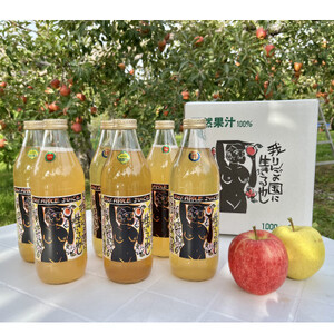 りんごジュース　品種おまかせ　6本入り【1244686】