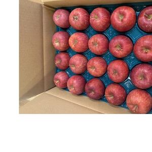 SevenApple木村農園から直送　樹上完熟さんふじ10kg_果物・フルーツ りんご  リンゴ 林檎_【1422346】