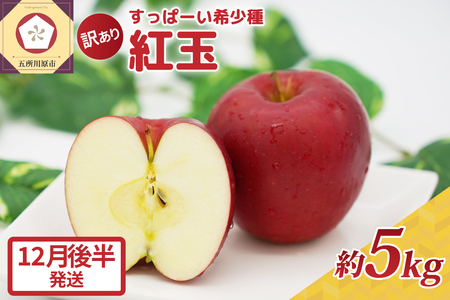 紅玉 りんご 訳あり約5kg【2024年12月後半発送】青森リンゴ不揃いタルトタタンにおすすめ紅玉リンゴ