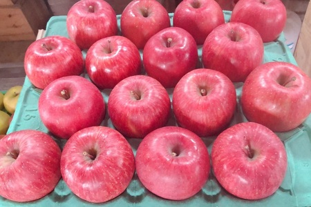 【ふるなび限定】【2025年12月下旬発送】 【訳あり】 りんご 約3kg サンふじ 〈樹上完熟〉 青森産　FN-Limited-SP