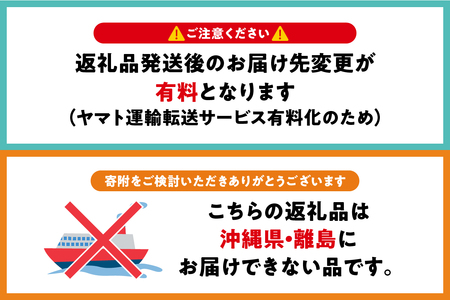 こぎん刺し　印鑑ケース 赤×生成り ハンドメイド 手作り印鑑ケース 青森 津軽 五所川原 こぎん刺し印鑑ケース