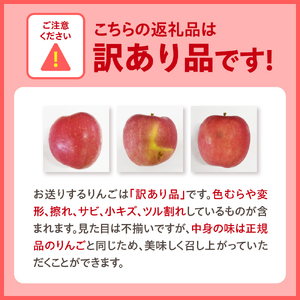 【2026年3月前半発送】りんご【訳あり】約10kg サンジョナゴールド | 青森県産りんご 家庭用りんご