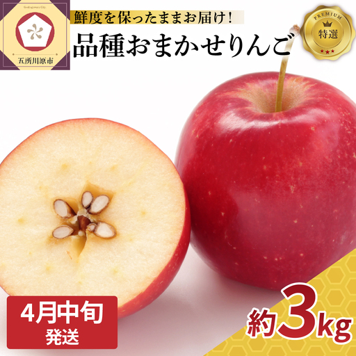 【2026年4月中旬発送】特撰丸かじりりんご約3kg 品種おまかせ1種(スマートスレッシュまたはCA貯蔵) 6,840円