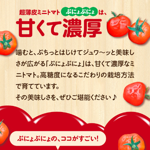 ふしぎなトマト トマトプリッツ＜8袋＞ | 【公式】江崎グリコ(Glico)
