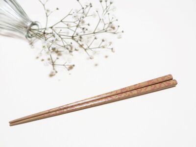 津軽塗 箸 一膳【 ベージュ ピンク】 津軽塗箸 漆塗 お箸 ギフト プレゼント【青森 五所川原】ハシ 一対 おはし 津軽塗り 津軽塗り箸 