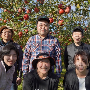 お酒 飲み比べ 6本セット 『太宰が飲んだ!?幻のリンゴ酒』 全種セット 330ml×6 | 果実酒 りんご 酒 林檎 太宰治 津軽 五所川原 青森