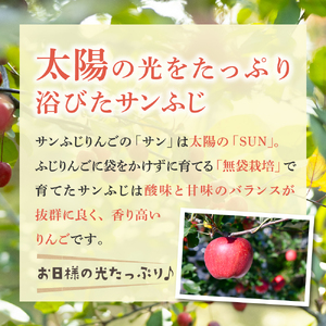 りんご　サンふじ約3kg丸福【12月後半発送】光センサー選果糖度13度以上青森りんごリンゴサンふじりんご五所川原りんご林檎サンフジリンゴ