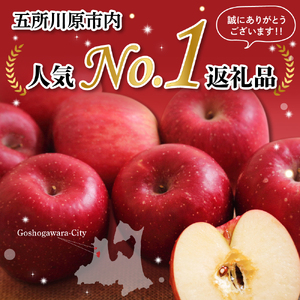 りんご　サンふじ約3kg丸福【1月前半発送】光センサー選果糖度13度以上青森りんごリンゴサンふじりんご五所川原りんご林檎サンフジリンゴ