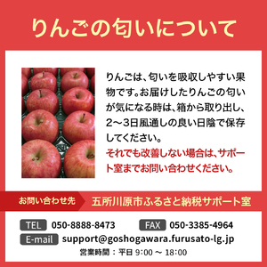 りんご　サンふじ約3kg丸福【1月後半発送】光センサー選果糖度13度以上青森りんごリンゴサンふじりんご五所川原りんご林檎サンフジリンゴ