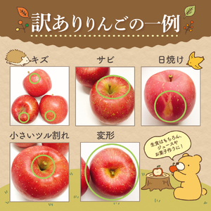 【2026年3月下旬発送】【訳あり】りんご 1品種おまかせ 約3kg | 家庭用 青森県 五所川原市