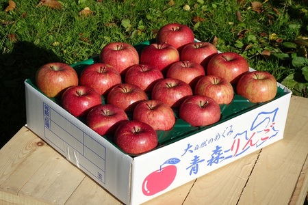 【ふるなび限定】りんご【2026年1月下旬発送】サンふじ約5kg【家庭用】青森 FN-Limited-SP