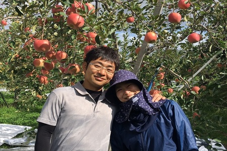 訳ありりんご　【2026年1月下旬発送】サンふじ約5kg_青森県五所川原市_さとうりんご園