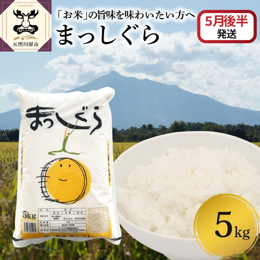 【2026年5月後半発送】まっしぐら5kg（白米）
